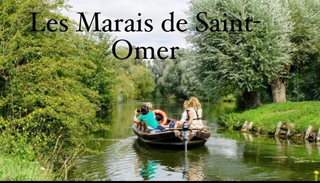 Le Clos Des Bambous Saint-Martin-Lez-Tatinghem Exteriér fotografie