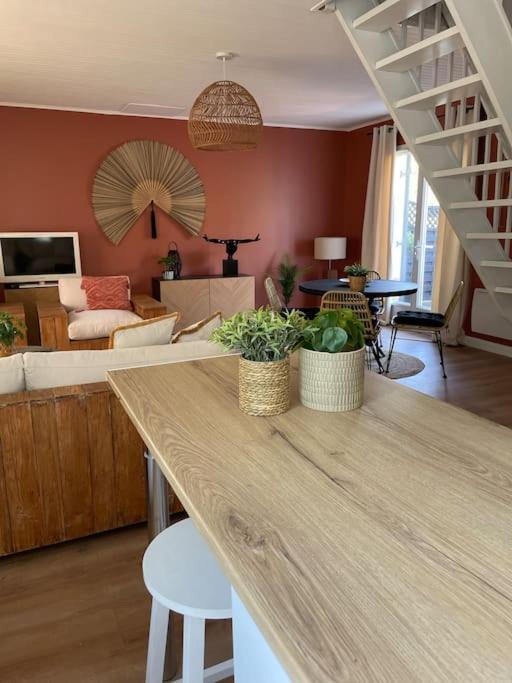 Le Clos Des Bambous Saint-Martin-Lez-Tatinghem Exteriér fotografie